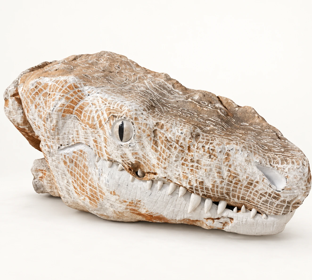L’era dei dinosauri, dettaglio della testa del coccodrillo scolpito da Giovanni Cancellaro, su fondo neutro
